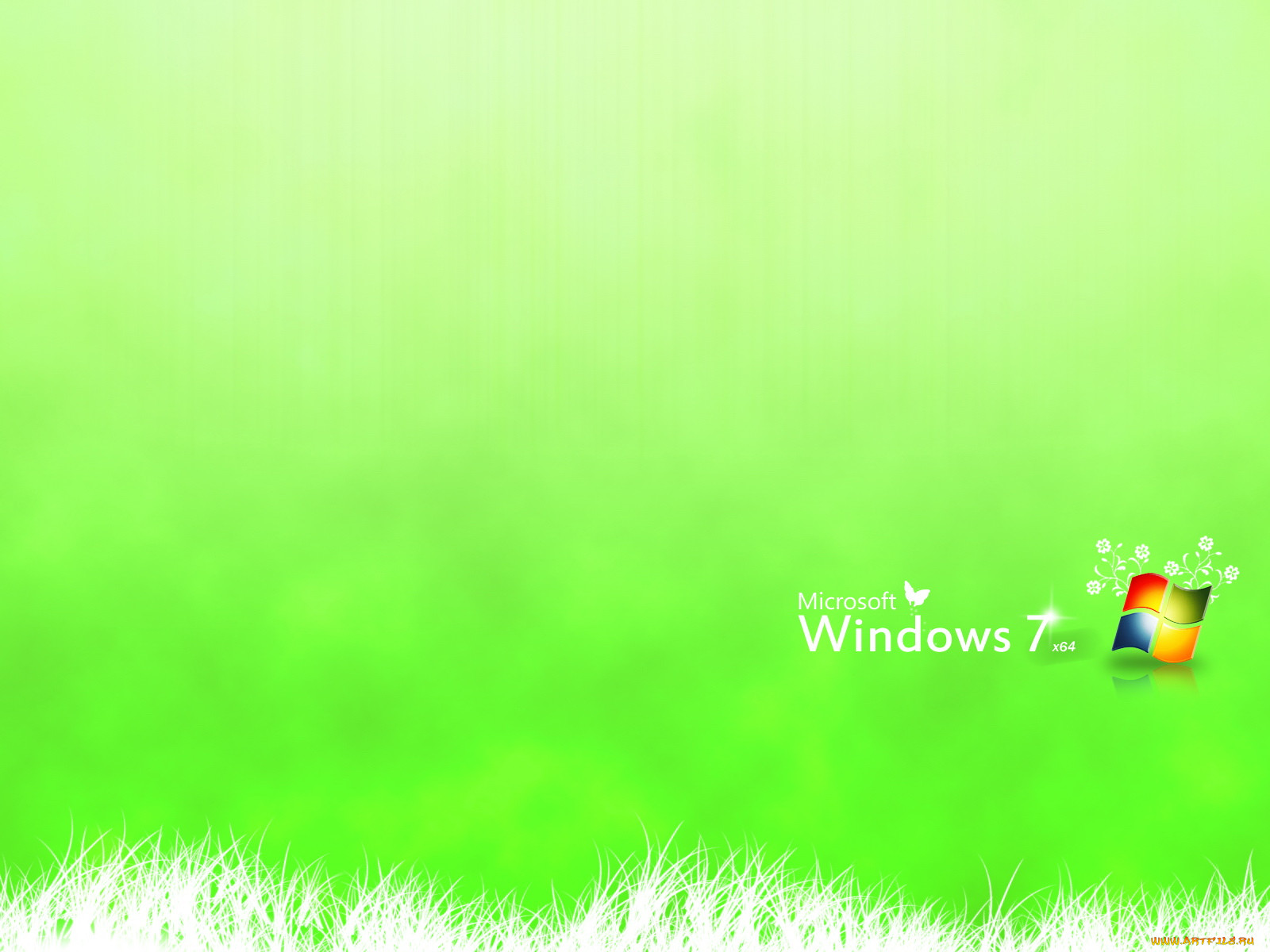 , windows, vienna